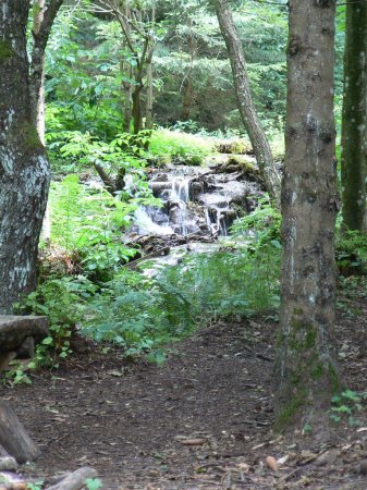 Vodeni tokovi_2008_012